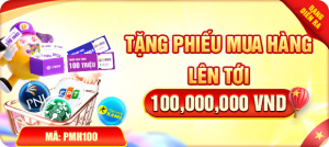 phieu mua hang 100tr